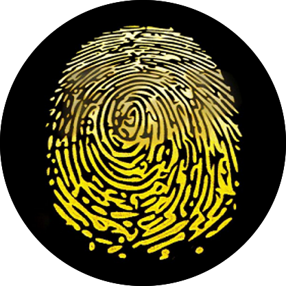 FGP,FingerPrint