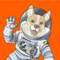 SpaceCorgi