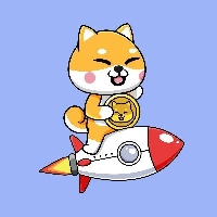 Baby shiba rocket